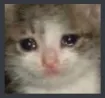 Worlds_Cat_Cry
