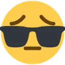 pensivesunglasses