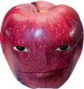Cock