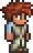 terrariadefault