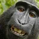 monkeypng