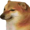 cachorrotriste
