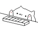 AVN_catty AVN_catty