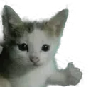 809217984694059038 809217984694059038