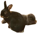 harryelby