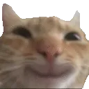 smileCat smileCat