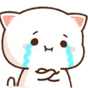 pot_catcry pot_catcry