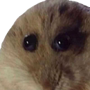 hampter_ac Discord sticker | Adultcord 🧿