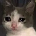 MiH_Sad_Cat_Face Discord Emoji