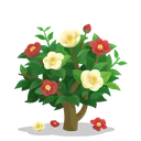 camellia