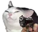 SmugCatGun