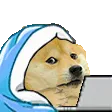 p_dogcry