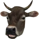 cownew