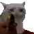 m_catshoot