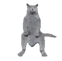 NaeNaeCat Discord Emoji