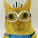 ramirez_minion ramirez_minion