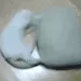 acceleratedfeline