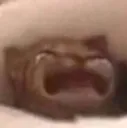 AAAAAAAAAA AAAAAAAAAA