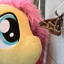 natureisfascinating natureisfascinating
