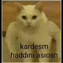 memekartma custom emote | Nephthy$
