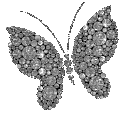 ghl_btrflyGrey