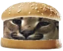 flopburger flopburger