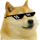 cooldoge