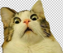 emoji_26 Discord Emoji - 𝑪𝑯𝑨𝑻 𝑫𝑬𝑺𝑨𝑩𝑨𝑭𝑶