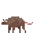 entity_rotta_large