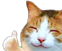 HappyCatThumb