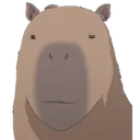 Capybara