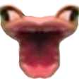 PoggoP