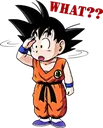 GokuWtf