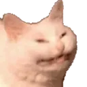 Confused Cat confusedCat Discord Emoji