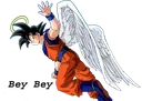GokuAngel