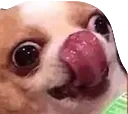 a_dogineodayu