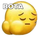 z_bota z_bota