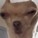 eeeeeeee eeeeeeee