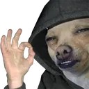 A_DogOk2