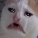 Crycat crycat Discord Emoji