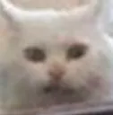 shocked