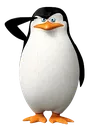 Pengisalute