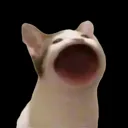 popcat Discord Emoji