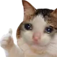 thumbsupcat