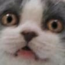 what Discord emoji