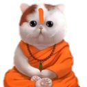 tgk_sanskari Discord emoji
