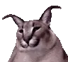 floppaJAM floppaJAM