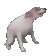 DogDance Discord emoji