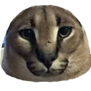 floppablob Discord Emoji