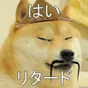 OkDoge OkDoge